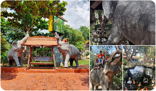 Chang Thai Thappraya Safari