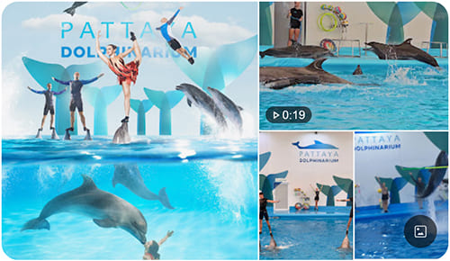 Dolphinarium