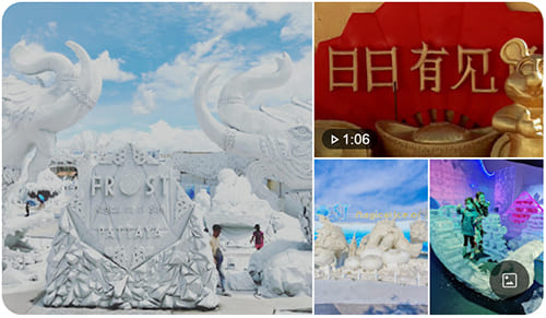 FROST Magical Ice of Siam
