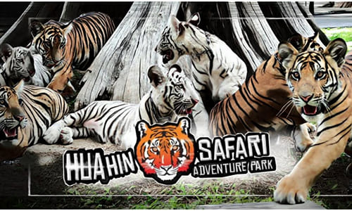 Hua Hin Safari & Adventure Park