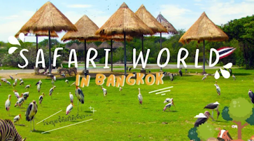 Safari World