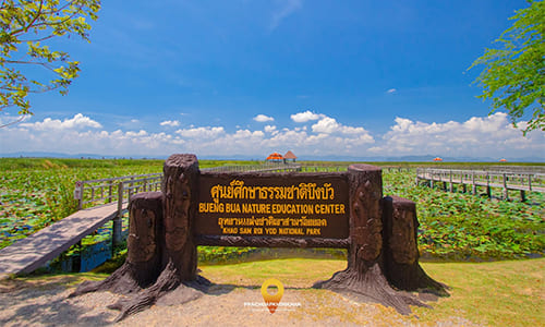 Sam Roi Yot Lotus Marsh