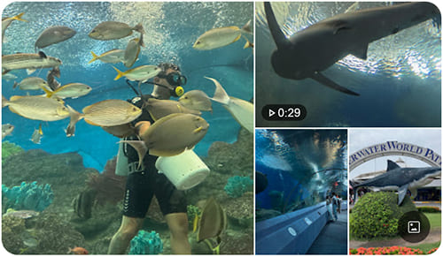 Underwater World Pattaya