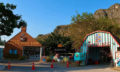 Sulcata Farm